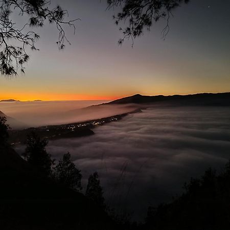 Uciek Tengger Bromo Ngadisari Buitenkant foto
